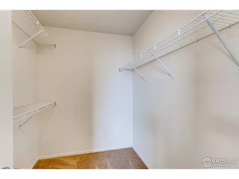 389 Shadowbrook Dr, Windsor, CO 80550 photo 22