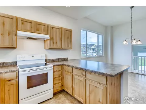 389 Shadowbrook Dr, Windsor, CO 80550 photo 13