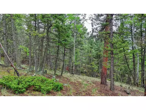 1061 Pinewood Rd, Florissant, CO 80816