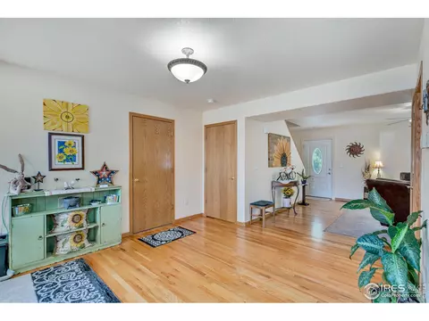 640 Mount Massive St, Berthoud, CO 80513 photo 13
