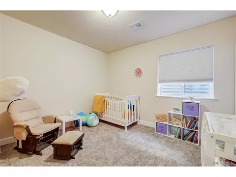 22497 E Swallow Pl, Aurora, CO 80016 photo 27
