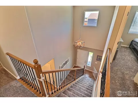 1188 Bowen Pass St, Severance, CO 80550 photo 24