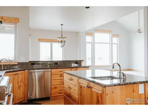 37151 Dickerson Run, Severance, CO 80550 photo 11