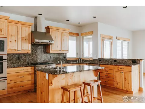 37151 Dickerson Run, Severance, CO 80550 photo 10
