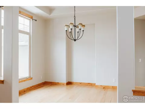 37151 Dickerson Run, Severance, CO 80550 photo 6