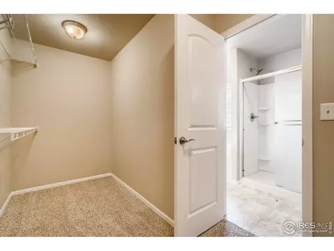 607 Gore Range Dr, Windsor, CO 80550 photo 23