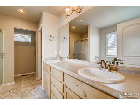 607 Gore Range Dr, Windsor, CO 80550 photo 19