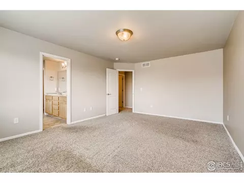 607 Gore Range Dr, Windsor, CO 80550 photo 26