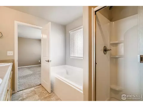 607 Gore Range Dr, Windsor, CO 80550 photo 28