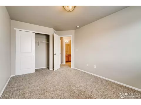 607 Gore Range Dr, Windsor, CO 80550 photo 25