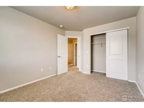 607 Gore Range Dr, Windsor, CO 80550 photo 27