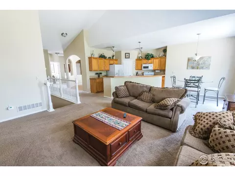 9858 Buffalo St, Longmont, CO 80504 photo 15