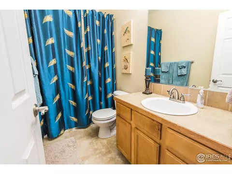 9858 Buffalo St, Longmont, CO 80504 photo 10