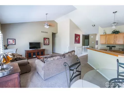 9858 Buffalo St, Longmont, CO 80504 photo 22
