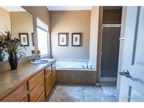 9858 Buffalo St, Longmont, CO 80504 photo 26