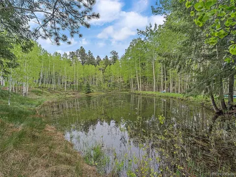 30559 Rand Rd, Conifer, CO 80433 photo 32