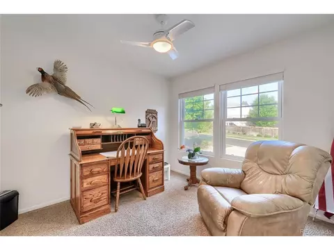 20209 E Doane Dr, Aurora, CO 80013 photo 18