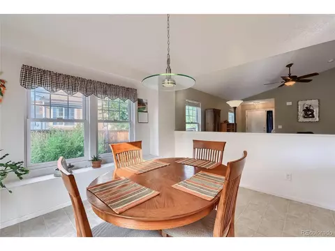 20209 E Doane Dr, Aurora, CO 80013 photo 9