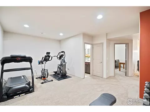2192 Grain Bin Ct, Windsor, CO 80550 photo 30