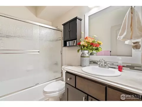2192 Grain Bin Ct, Windsor, CO 80550 photo 32