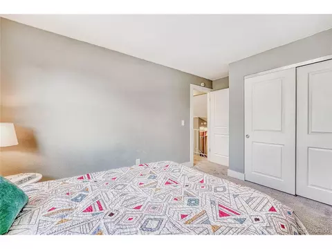 17544 E Progress Dr, Centennial, CO 80015 photo 31