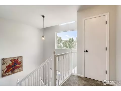 203 Welch Dr, Lyons, CO 80540 photo 22