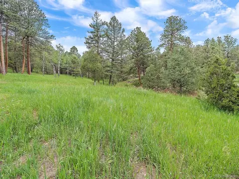 29320 S Sunset Trl, Conifer, CO 80433 photo 31