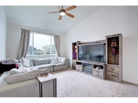 924 Mt Shavano Ave, Severance, CO 80550 photo 13