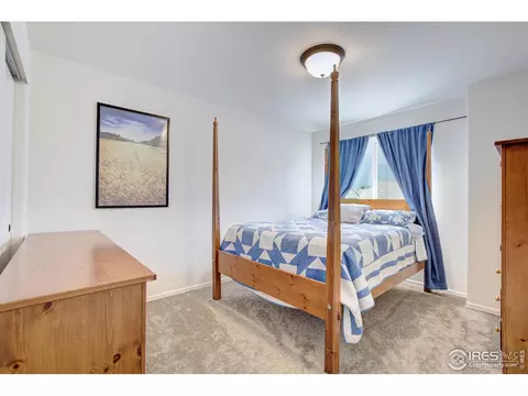 924 Mt Shavano Ave, Severance, CO 80550 photo 20