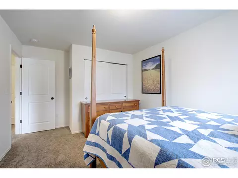 924 Mt Shavano Ave, Severance, CO 80550 photo 21