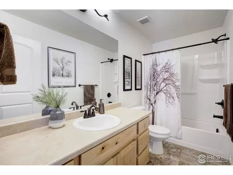 924 Mt Shavano Ave, Severance, CO 80550 photo 22