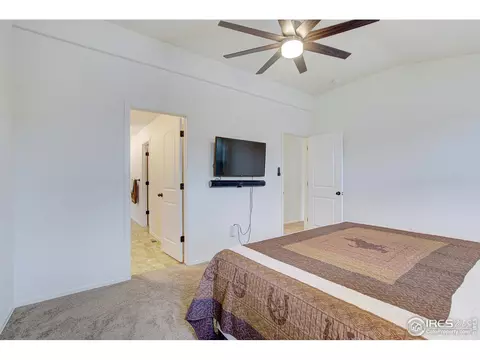 924 Mt Shavano Ave, Severance, CO 80550 photo 16