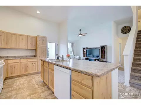 924 Mt Shavano Ave, Severance, CO 80550 photo 12
