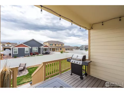 924 Mt Shavano Ave, Severance, CO 80550 photo 26