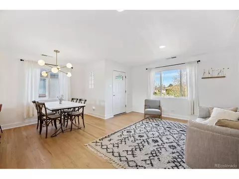 3520 Ivanhoe St, Denver, CO 80207 photo 8
