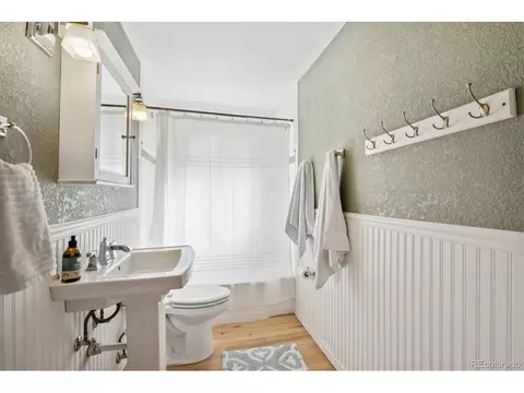 3520 Ivanhoe St, Denver, CO 80207 photo 11