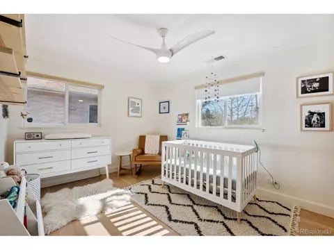 3520 Ivanhoe St, Denver, CO 80207 photo 12