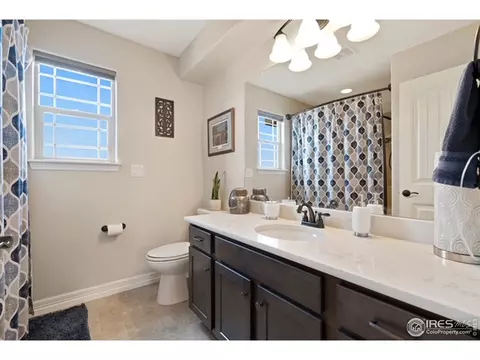 4367 Chicory Ct, Johnstown, CO 80534 photo 29