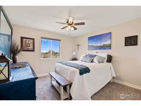 4367 Chicory Ct, Johnstown, CO 80534 photo 28