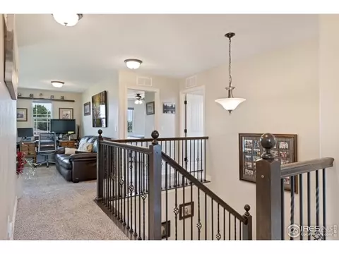 4367 Chicory Ct, Johnstown, CO 80534 photo 20