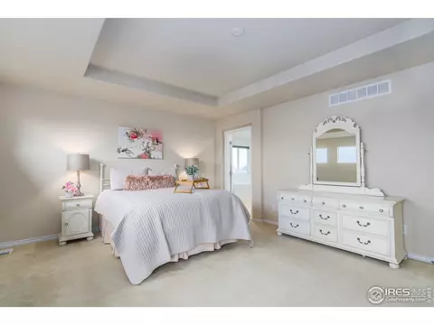 4196 E 139th Dr, Thornton, CO 80602 photo 18
