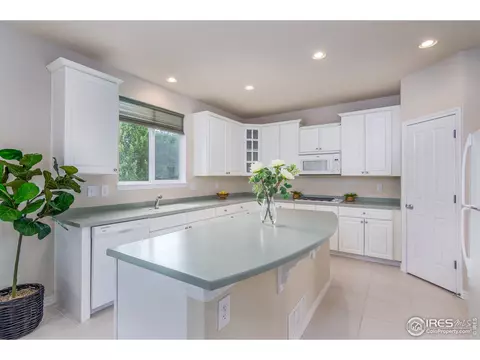 4196 E 139th Dr, Thornton, CO 80602 photo 9