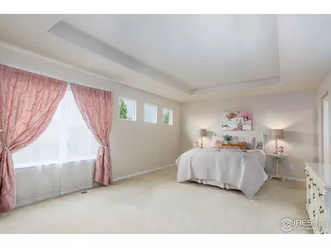 4196 E 139th Dr, Thornton, CO 80602 photo 19