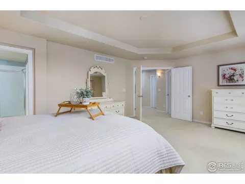 4196 E 139th Dr, Thornton, CO 80602 photo 20