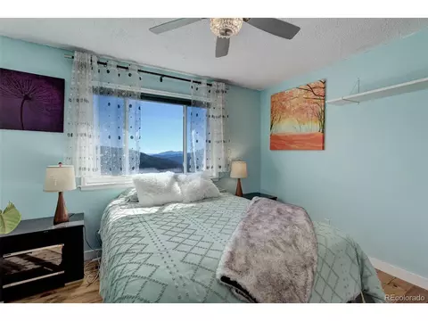 98 Teal Ln, Bailey, CO 80421 photo 21