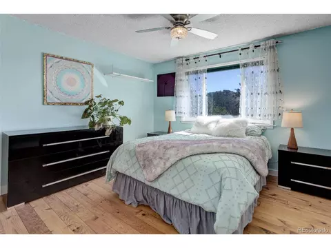 98 Teal Ln, Bailey, CO 80421 photo 20