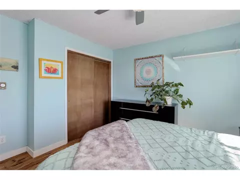 98 Teal Ln, Bailey, CO 80421 photo 22