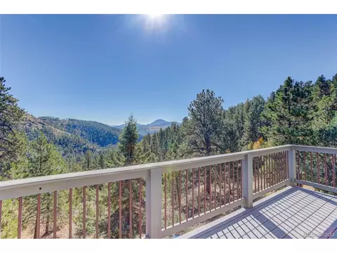 98 Teal Ln, Bailey, CO 80421 photo 9