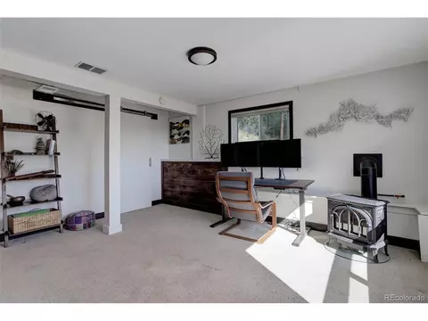 98 Teal Ln, Bailey, CO 80421 photo 29