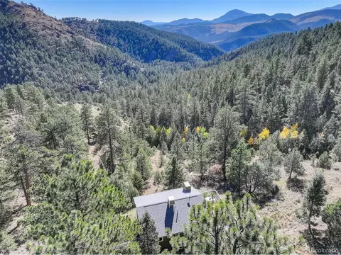 98 Teal Ln, Bailey, CO 80421 photo 8